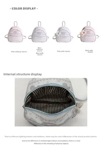 Internal detail of small square bag showing striped lining and metal zipper closure