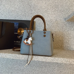 Detail of light blue canvas tote bag with leather handles and decorative pony charm
