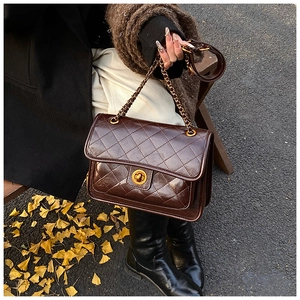 Detail of dark brown quilted crossbody bag with gold chain strap in autumn street setting