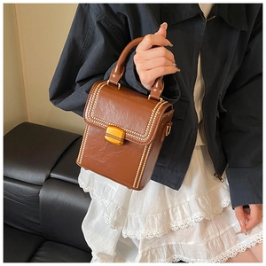 Detail view of brown vintage box bag with gold beaded edges and sleek metal clasp