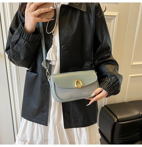 Chic Morandi blue crossbody bag with gold hardware and woven texture shown on a model