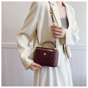 Deep red quilted vanity bag with gold handle and chain strap shown on a model