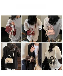 Vues détaillées du sac carré en cinq couleurs avec foulard en soie et fermoir argenté