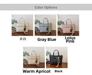 Detailed color selection display of the lychee texture leather bucket handbags in five tones