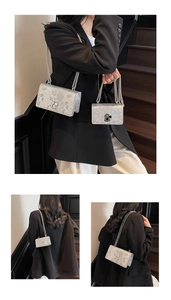 Detail of silver snake pattern chain bags in two sizes with metal clasp and dual chains