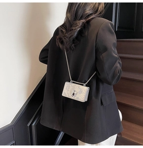 Detail of silver fish-scale pattern mini bag with metal chain on model in stair scene
