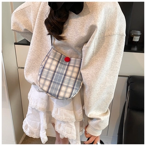 Close-up of blue and white checkered crossbody bag with red button detail on a model