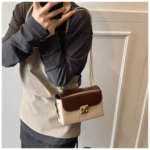 Close-up of contrast color crossbody bag with gold chain strap and square push lock