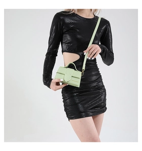 Detail of a light green mini crossbody bag with gold fashion lettering on snake print dress
