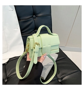 Macro view of mint green mini square handbag with lychee texture and gold fashion logo