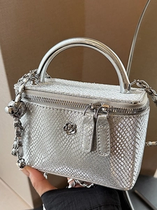 Borsa a Spalla Vanity Case in PU Argento da Donna con Catena in Metallo e Camelia Borsa a Tracolla Motivo Serpente Leopardo Design di Nicchia