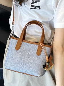 Casual light blue striped canvas tote bag with brown leather handles and wooden horse charm