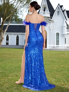 Detailed view of royal blue sequin evening dress with feather sleeves and lace-up back