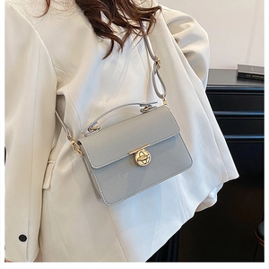 Detail shot of grey pebbled leather crossbody bag with elegant gold metal twist lock closure
