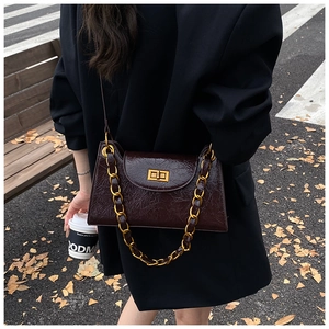 Detail of vintage brown crocodile embossed bag with gold clasp and chunky metal chain