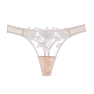 Detailaufnahme von Champagner-Spitzen-String mit Blumenstickerei und Netzstruktur