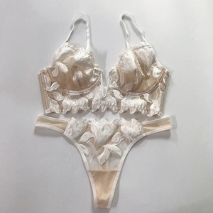 Detailed view of floral lace embroidery on French style mesh bra and panty set