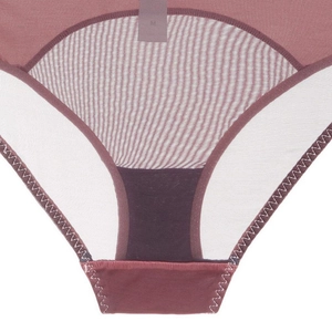 Λεπτομερής όψη mauve mesh εσώρουχου με ενισχυμένο καβάλο και μέγεθος M