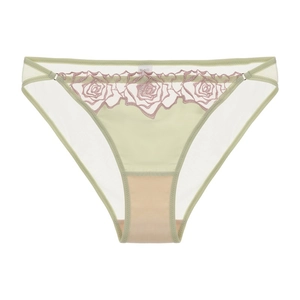 Dettaglio di slip in rete verde menta con delicati ricami di rose rosa in vita