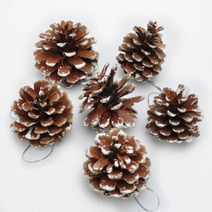 Set of 6 natural pine cone Christmas ornaments with white snow paint and silver hanging loops