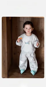 Nahaufnahme des hellgrauen Baby-Jungen-Sweatshirt-Sets mit niedlicher Hunde-Stickerei und Stil