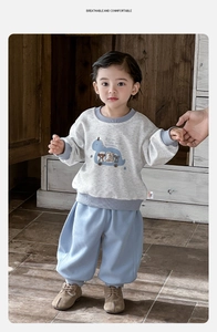 Dettaglio della felpa grigia per bambini con dinosauro e pantaloni casual blu set