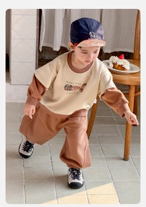 Detail shot of toddler boy cotton two-piece set with cartoon guinea pig hoodie and joggers