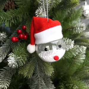 Close-up of clear Christmas ball ornament with red Santa hat and snow filling on tree