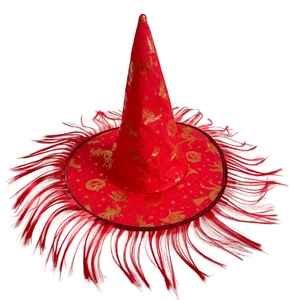 Detail of red Halloween wizard hat with gold pumpkin prints and red feather trim on brim