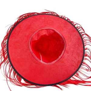 Top view of a bright red wizard hat featuring decorative feathers along the wide brim
