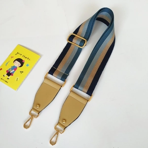 Detail of adjustable wide striped nylon shoulder strap with golden metal swivel hooks