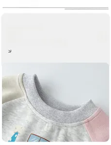 Detail view of cotton knit sweatshirt featuring ribbed crew neck and pastel patchwork sleeves