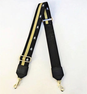 Detail of wide replacement strap with silver star embroidery and gold glitter stripes