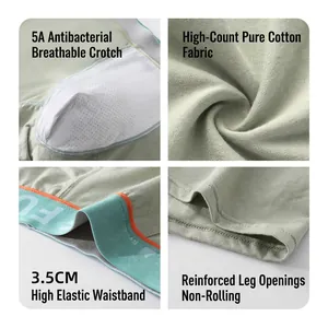 Men's cotton boxer briefs in bean green featuring 5A antibacterial breathable fabric