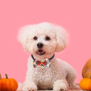Christmas pet bow tie collar with bells for small dogs and cats on white poodle