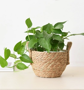 Detail of a handmade woven flower basket with handles and lush green plants inside