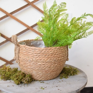 Handwoven seagrass planter basket with rope handles and green fern plant decoration