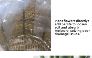 Close-up of natural woven plant basket with waterproof plastic liner for indoor gardening