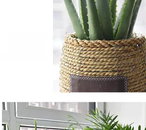 Close-up of hand-woven natural seagrass planter basket texture and sturdy plant fiber weave