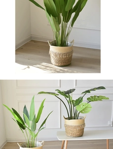 Detail of hand-woven seagrass basket with fringe trim and sturdy handles for plants