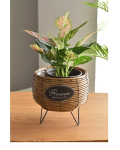 Detail of woven straw planter with black metal tripod stand and decorative leather label