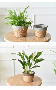 Close-up of handwoven seagrass planters with waterproof lining and decorative contrast trim