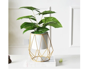 Detail of Nordic minimalist white metal planter with elegant golden geometric stand and green plant
