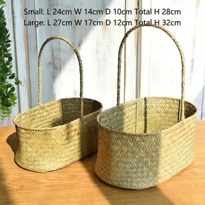 Handwoven seagrass baskets with handles for storage and decoration in two sizes