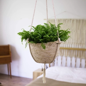 Detail of hand-woven hanging planter with tassels and green fern in boho bedroom