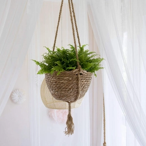 Hanging woven plant basket with natural jute ropes and tassels for indoor decor