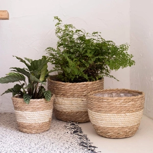Three-piece set of woven seagrass plant pots with waterproof lining in natural white