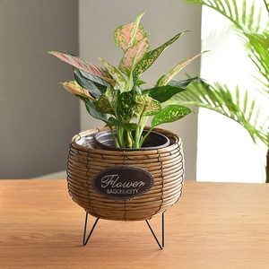 Nordic woven plastic rattan planter with black metal legs and lush green foliage plant
