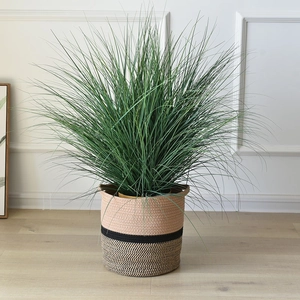 Detail of a 25x25cm cotton rope woven basket with three-tone color block and green plant