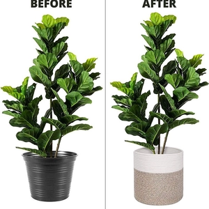 Modern two-tone cotton rope plant basket for fiddle leaf fig with convenient handles